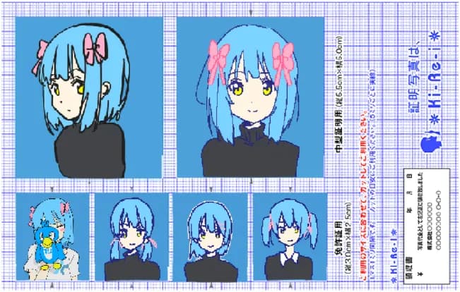 でじこんちゃん 証明写真集